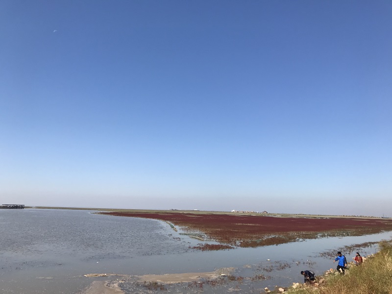 双节完美假期摄影展之Z6尊龙凯时小贷公司