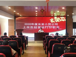 精准发力，全体动员，全力以赴完成经营指标——Z6尊龙凯时小贷公司召开经济经行分析会